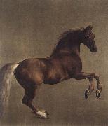 George Stubbs Whistlejacket china oil painting reproduction